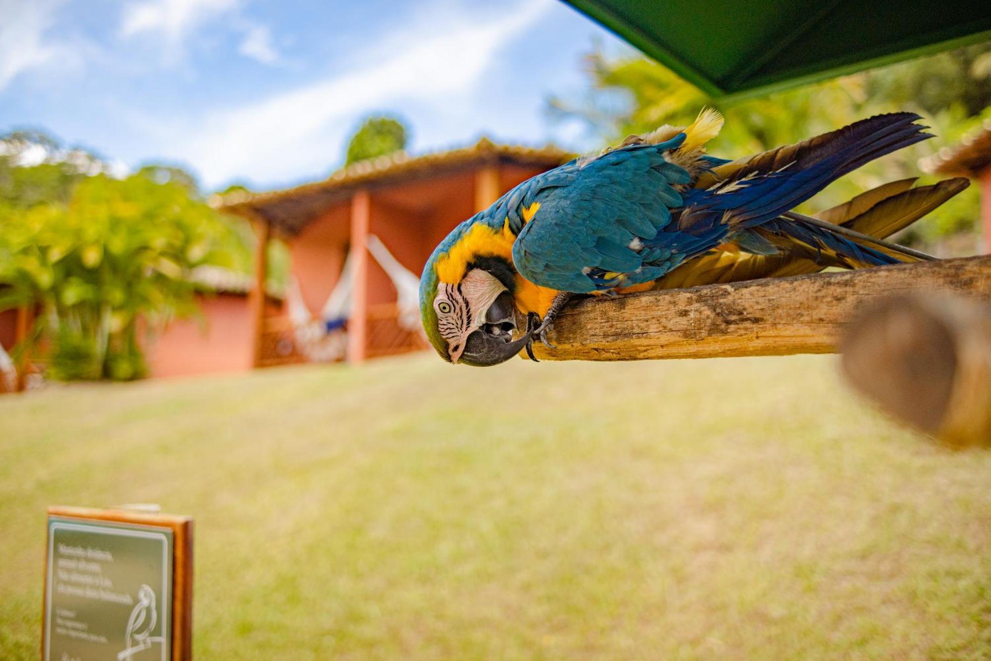 Hotel Vale Do Jiquiriçá エクステリア 写真
