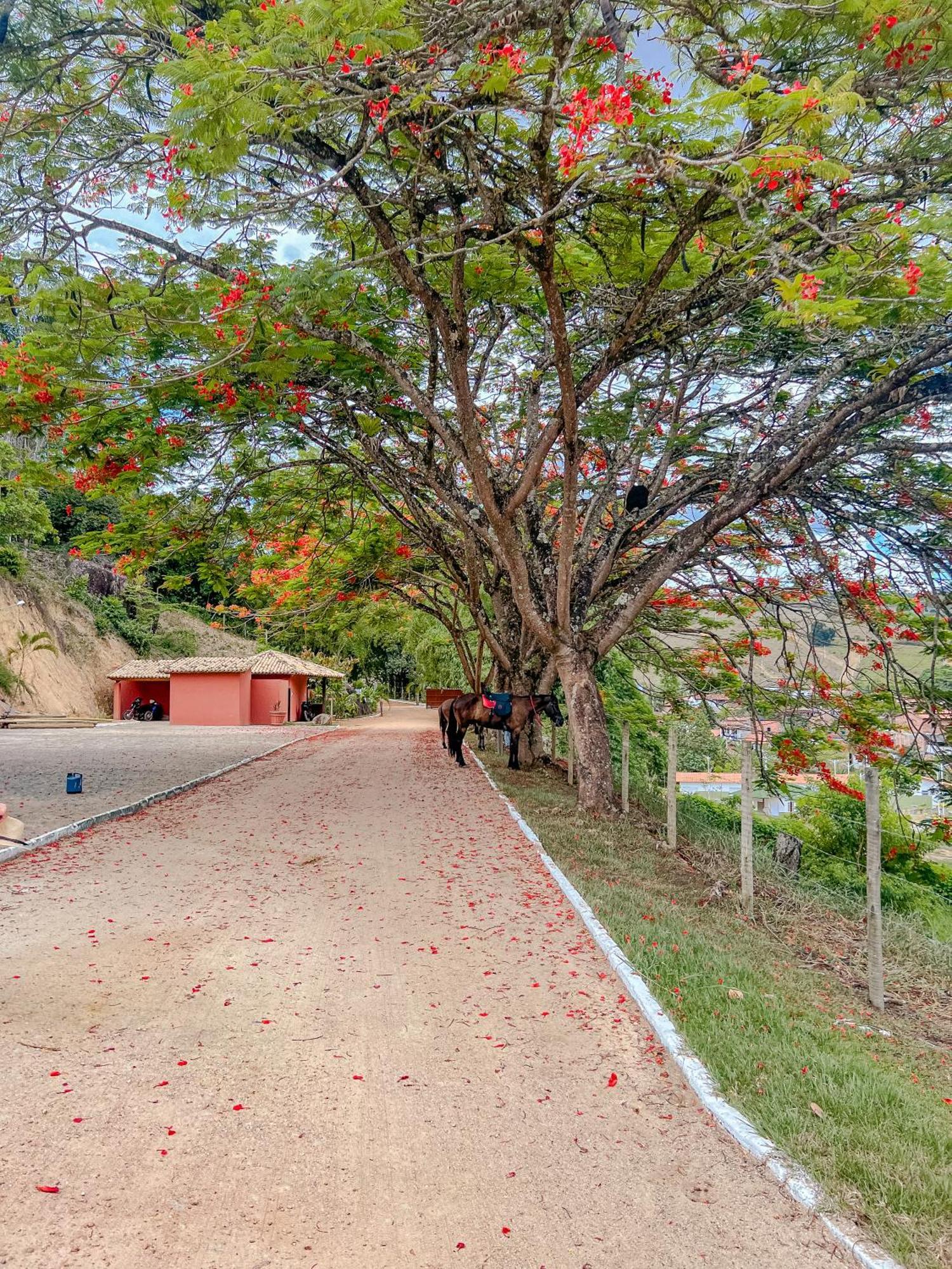 Hotel Vale Do Jiquiriçá エクステリア 写真